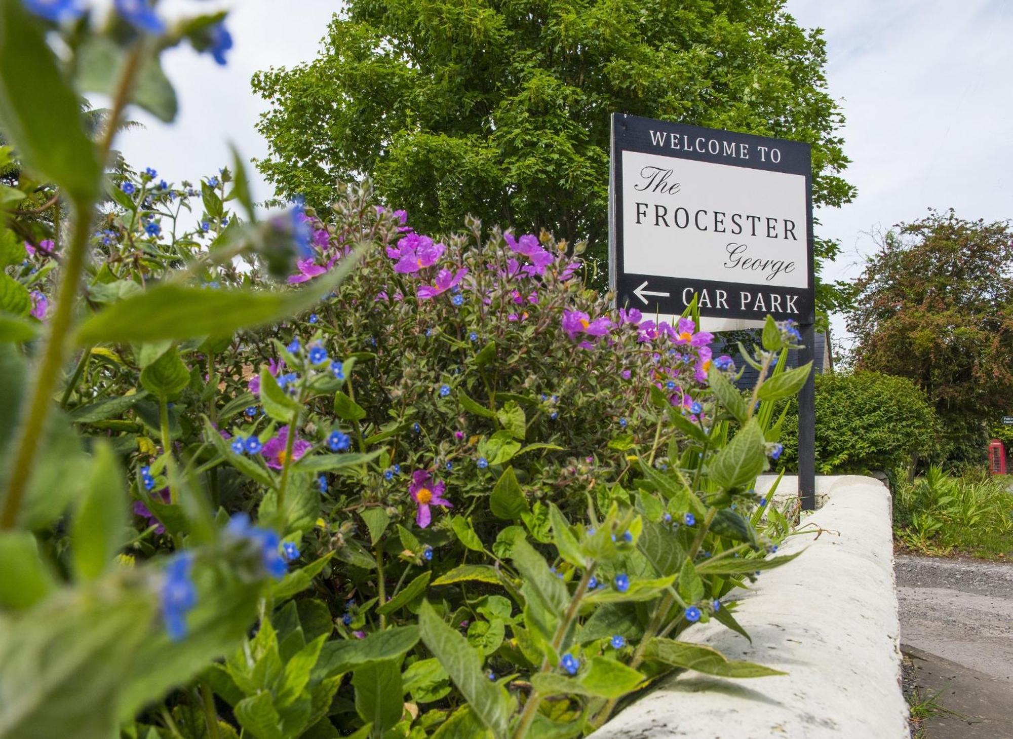 The Frocester Camera foto